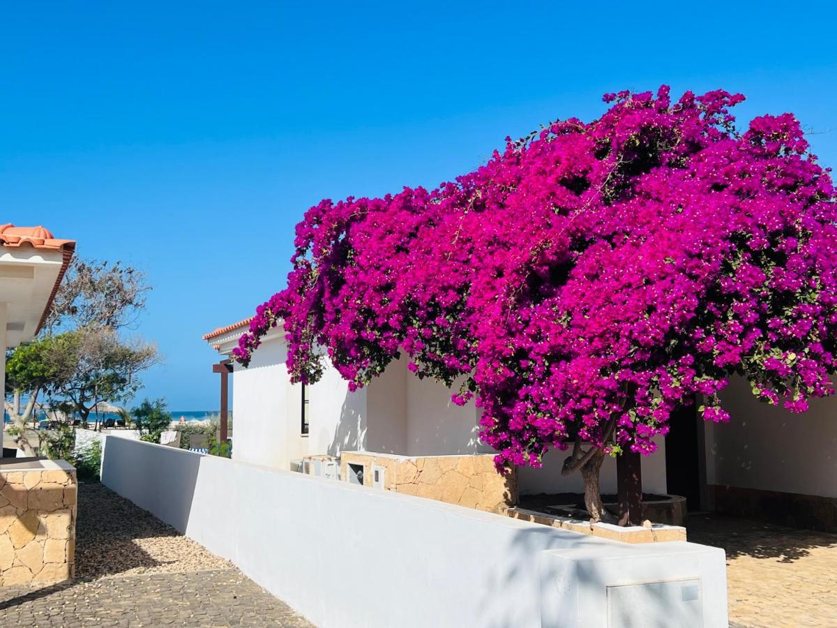 Villa With Privat Pool Near Beach Santa Maria Sal Kap Verde المظهر الخارجي الصورة