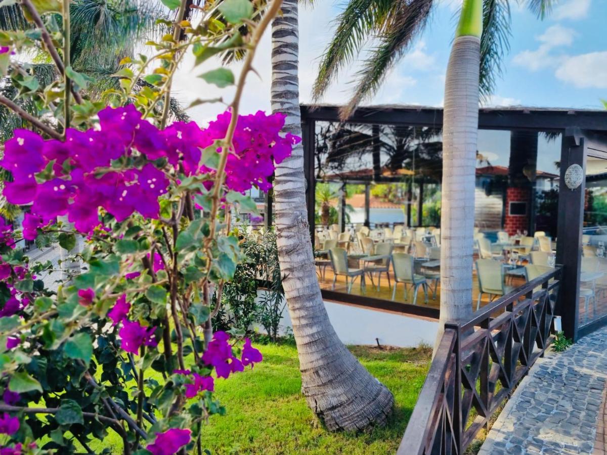 Villa With Privat Pool Near Beach Santa Maria Sal Kap Verde المظهر الخارجي الصورة