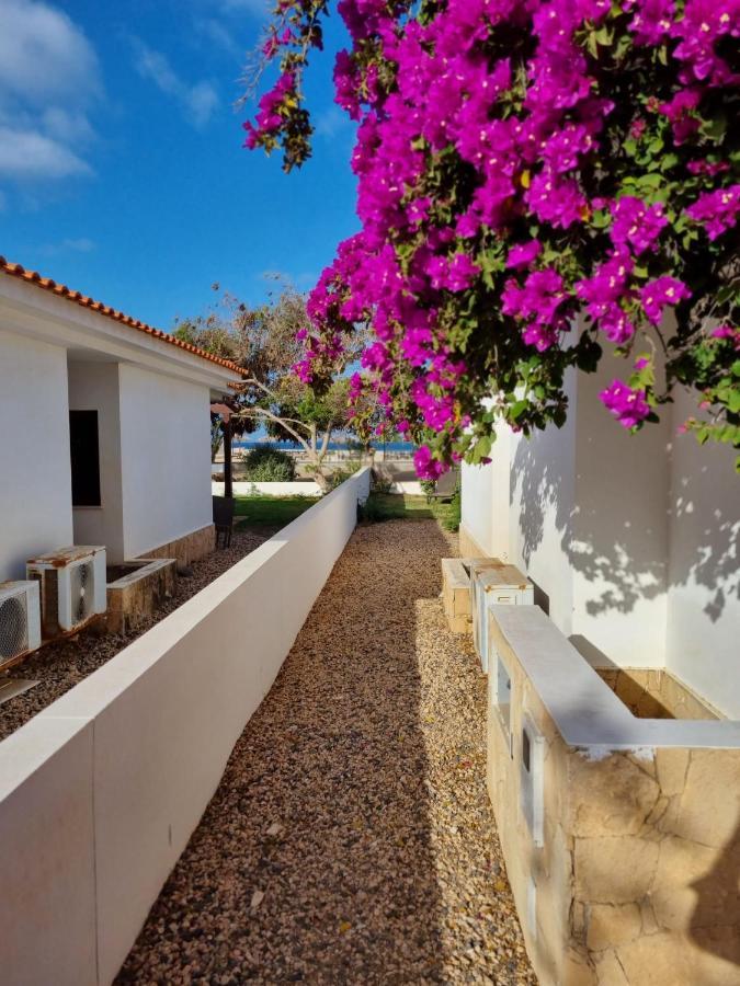 Villa With Privat Pool Near Beach Santa Maria Sal Kap Verde المظهر الخارجي الصورة