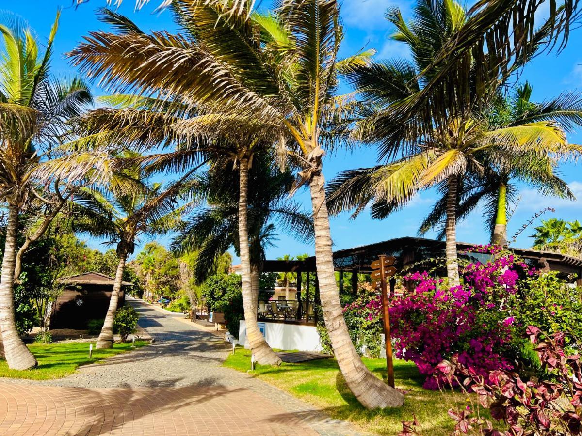 Villa With Privat Pool Near Beach Santa Maria Sal Kap Verde المظهر الخارجي الصورة