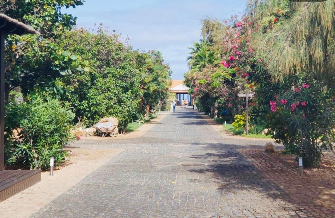 Villa With Privat Pool Near Beach Santa Maria Sal Kap Verde المظهر الخارجي الصورة