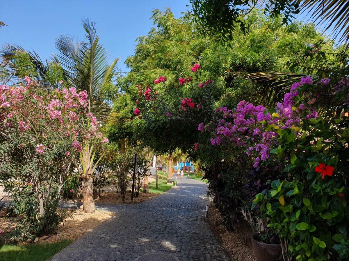 Villa With Privat Pool Near Beach Santa Maria Sal Kap Verde المظهر الخارجي الصورة